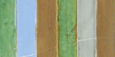 Copper Green Geometric Tile, 12"x24"